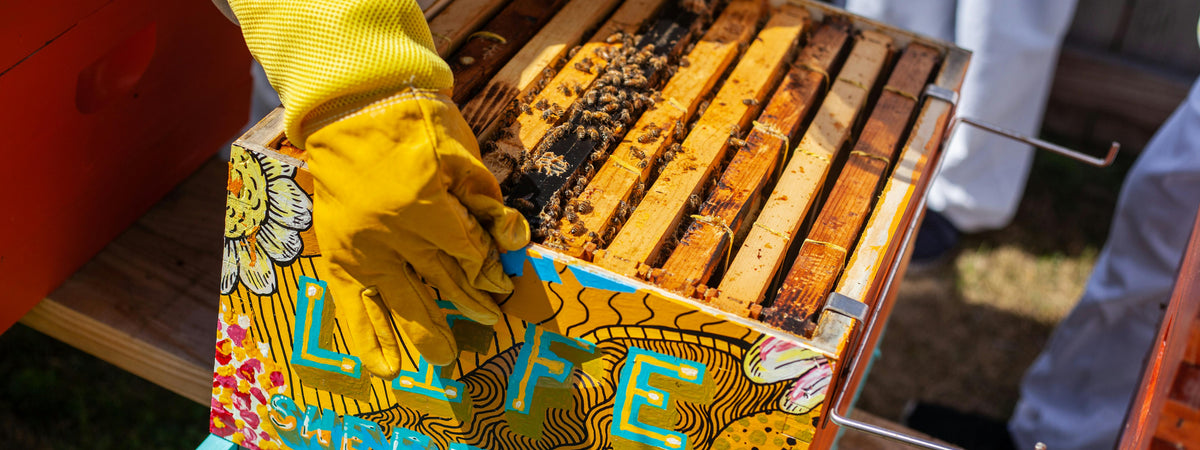 Hives & Components