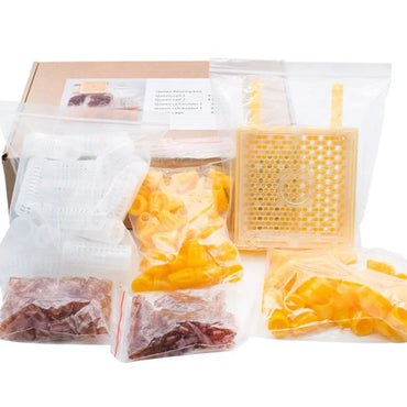 Queen Rearing System