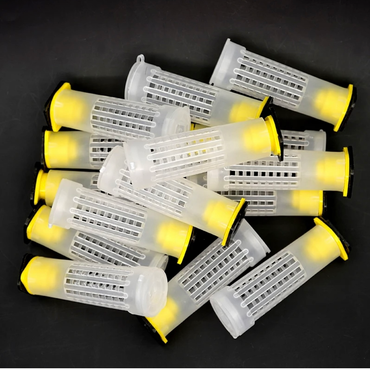 Queen Cages & Catching