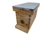 5 frame NUC beehive complete beehive kit