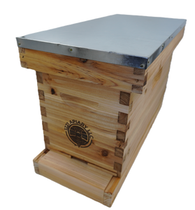 5 frame NUC beehive complete kit
