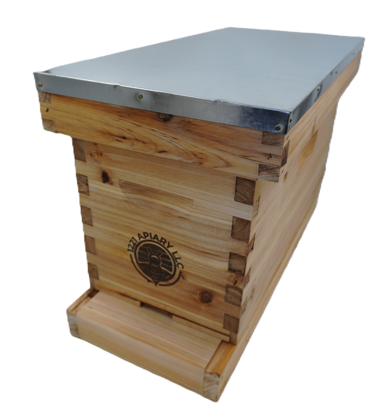 5 frame NUC beehive complete beehive kit