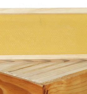 Beehive Langstroth Frames MEDIUM size 100% Beewax Foundation with Wire- 10 PACK