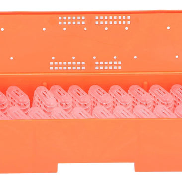 Queen Bee Rearing Cages Transporting Box with 20 Transparent Cages