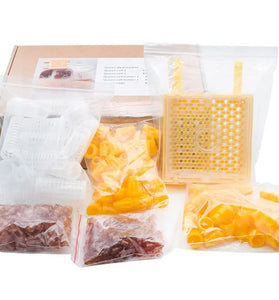 Jenter Queen Rearing System